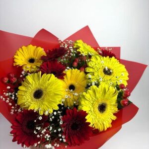 "Gerbera lummuses"